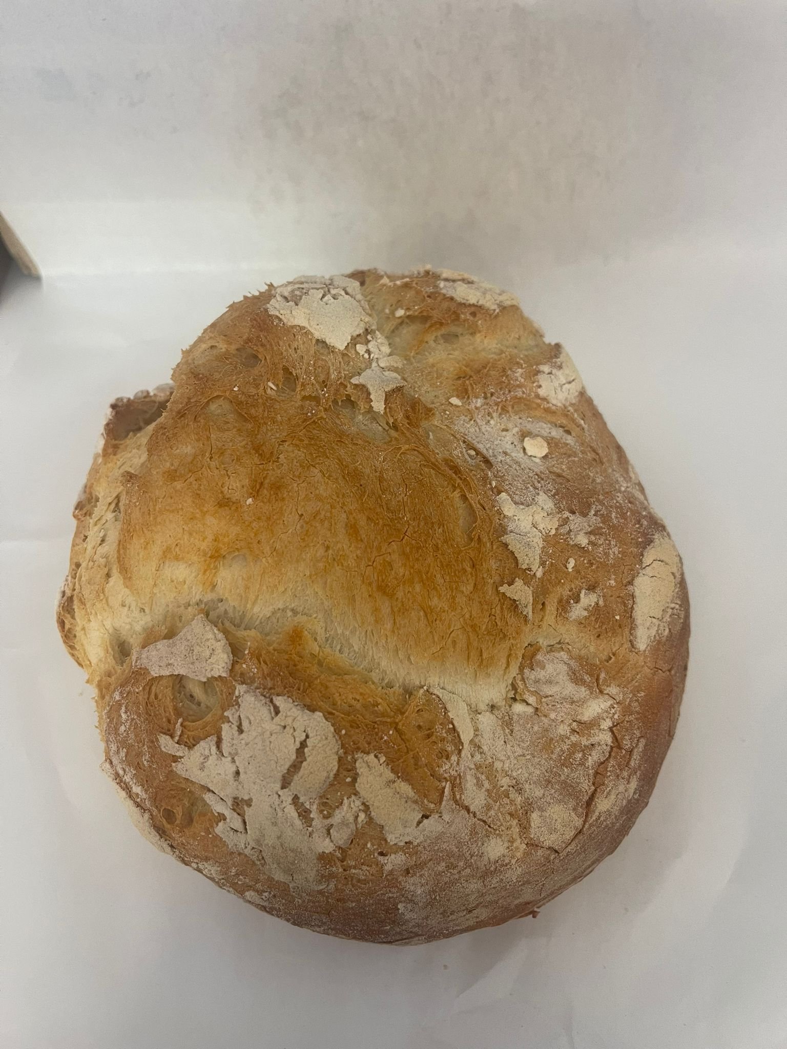Pâine Integrală